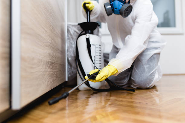 Best Pest Prevention Services  in Litchfield, IL