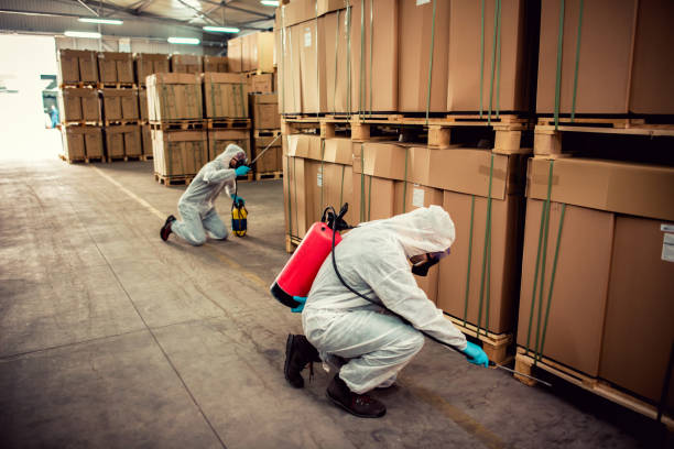 Best Best Pest Control Companies  in Litchfield, IL
