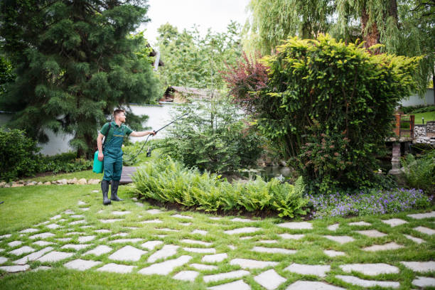 Best Pest Control Near Me  in Litchfield, IL