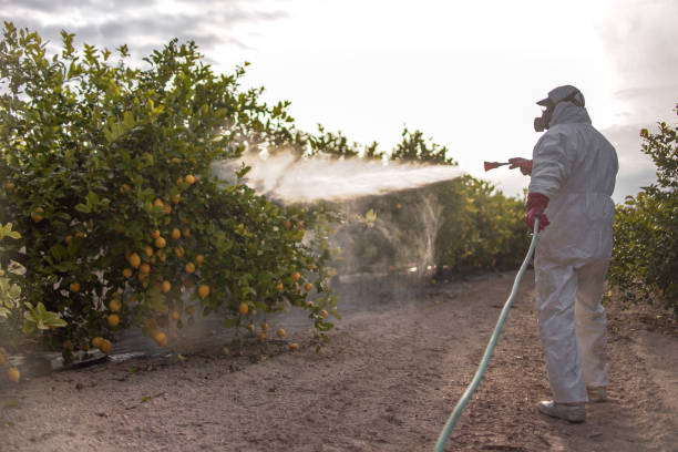 Professional Pest Control in Litchfield, IL