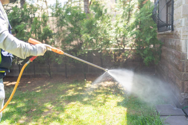 Best Pest Control Near Me in Litchfield, IL