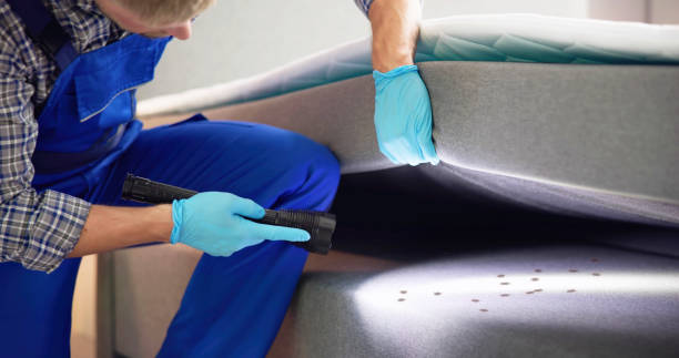 Best Ant Control Services  in Litchfield, IL