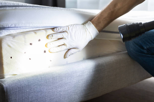 Best Best Pest Control Companies  in Litchfield, IL