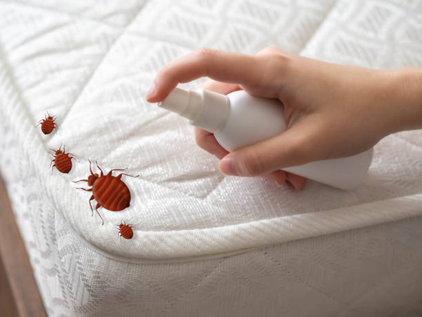 Best Pest Inspection Near Me  in Litchfield, IL