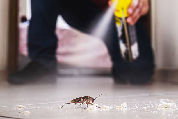 Best Mosquito Control Services  in Litchfield, IL