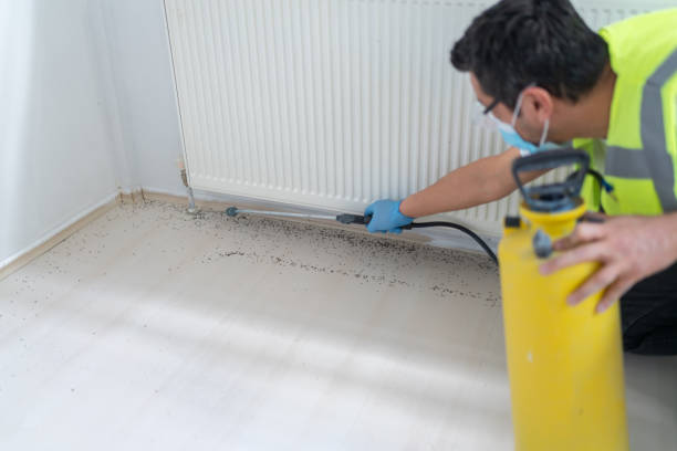 Best Best Pest Control Near Me  in Litchfield, IL