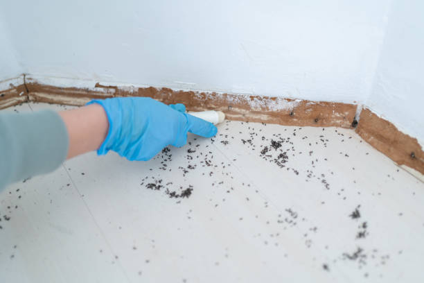 Best Ant Control Services  in Litchfield, IL
