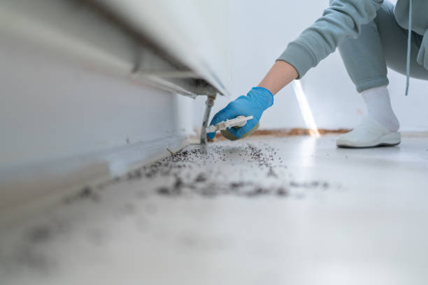 Best Emergency Pest Control  in Litchfield, IL